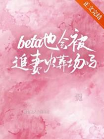 Beta也会被追妻火葬场吗 txt