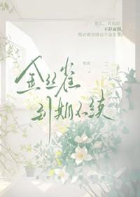 金丝雀到期不续寒菽全文免费阅读