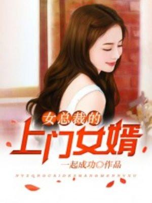 女总裁的上门女婿1740章