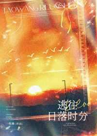 逃往日落时分番外