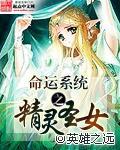 命运系统之精灵圣女差不多的