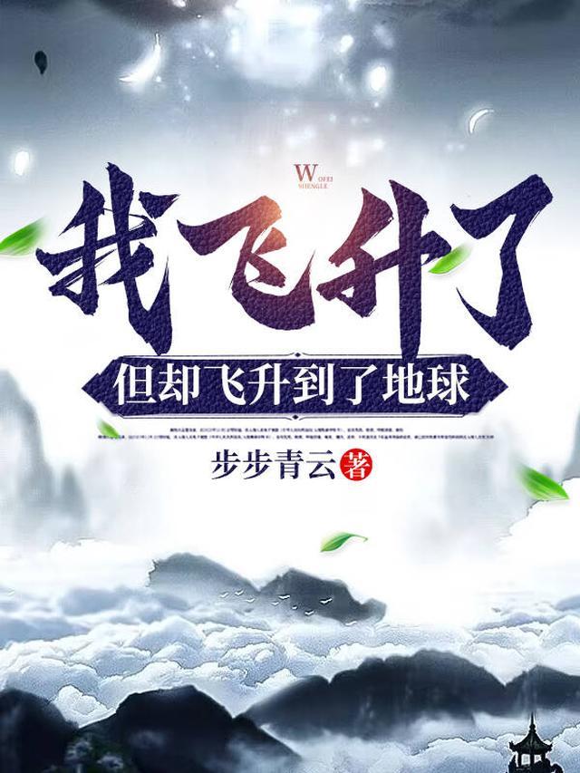 但却飞升到了地球等级境界