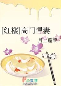 红楼高门悍妻免费阅读
