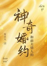 和前夫情人的神奇婚约免费阅读