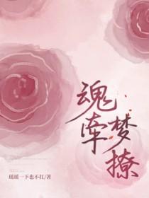 魂牵梦撩阮安夏傅司霆航空