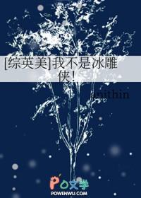 综英美我不是冰雕侠