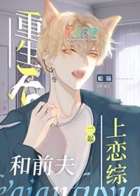 重生后再嫁前夫的