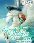 苏菲的异界讲了什么