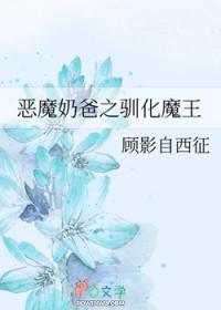 恶魔奶爸完结