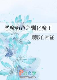 【宠物小精灵】治愈系