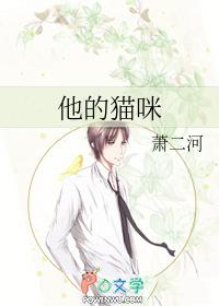 他的猫咪免费阅读全文
