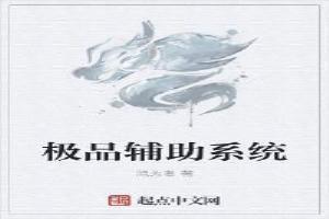 极品辅助系统女主