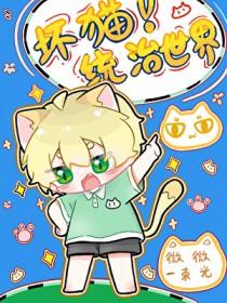 坏猫猫