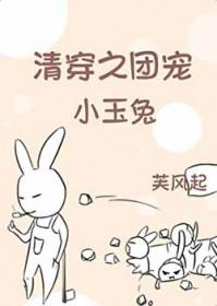 清穿之团宠小玉兔全文免费阅读