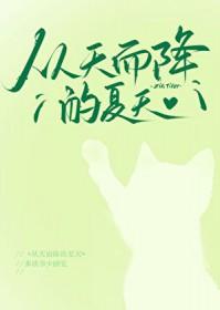 从天而降的含义