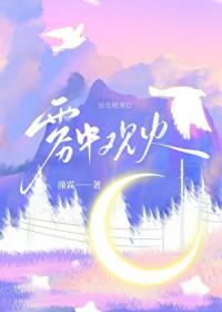 雾中看烟花什么意思