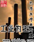 工业为王笔趣阁