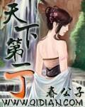 天下第一丁全文阅读
