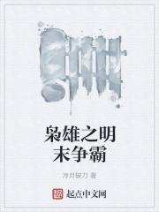 枭雄之明末争霸TXT
