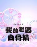我的老婆白骨精TXT书包网