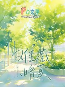 难藏暗夏免费阅读