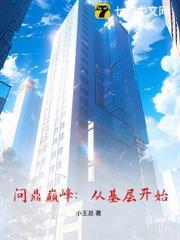 问鼎巅峰介绍