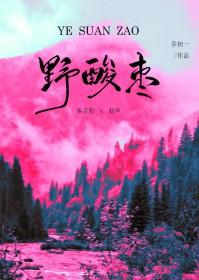 野酸枣核的功效与作用