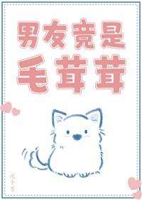 男主是毛茸茸的动物