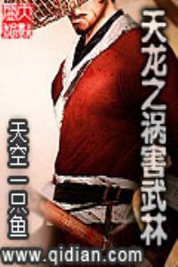 天龙八部之武龙