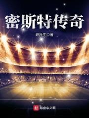 密斯特工业有限公司