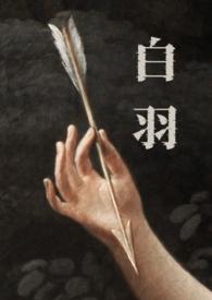 男主白羽的