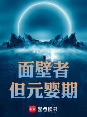面壁者但元婴期TXT