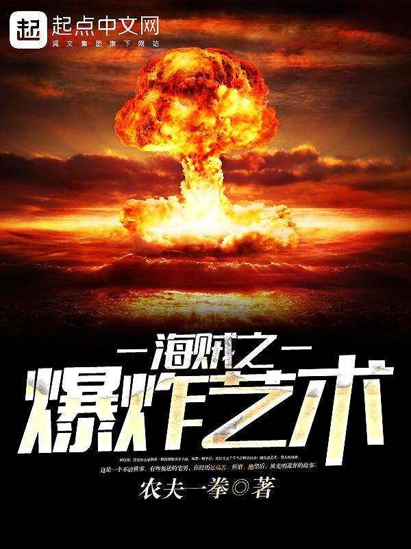 海贼爆炸的艺术