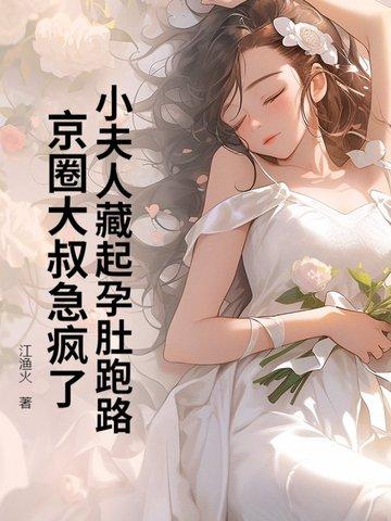 小夫人作者