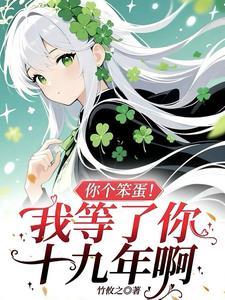 你这个笨蛋什么意思