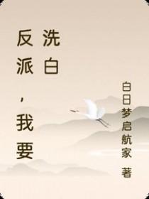 反派洗白大全