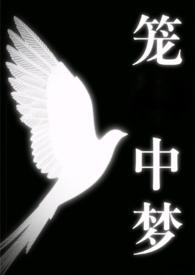 笼中梦一夜