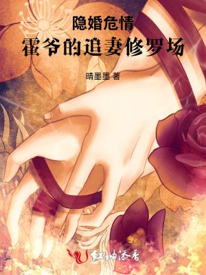 霍少的隐婚亚妻