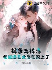 美女相亲坐错桌是第几集