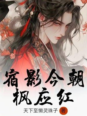 宿影是什么意思