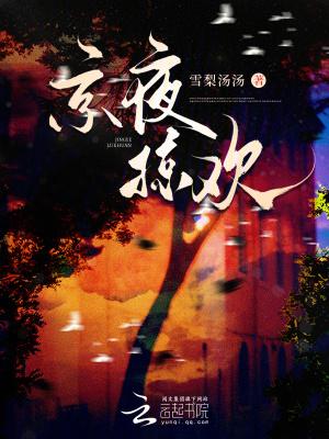 京夜掠欢免费