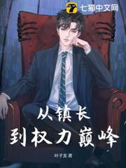 从镇长到省委