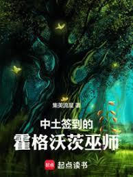 中土签到的霍格沃茨巫师全本阅读