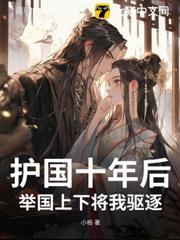 护国上将回归都市