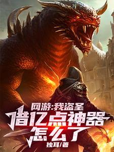 网游我盗圣