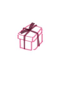 神秘的礼盒作品