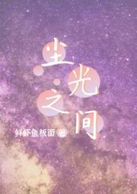 尘光txt