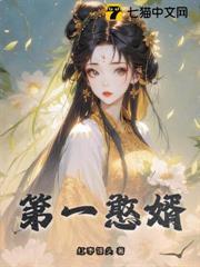 第一鏊婿