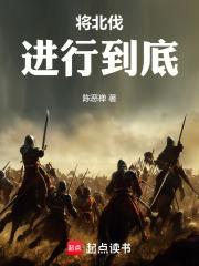 北伐从未成功