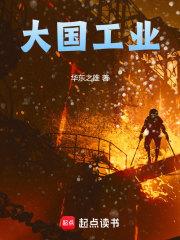 大国工业无错精校